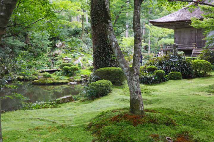 お庭の様子