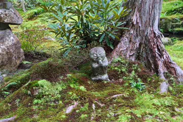 お庭の様子